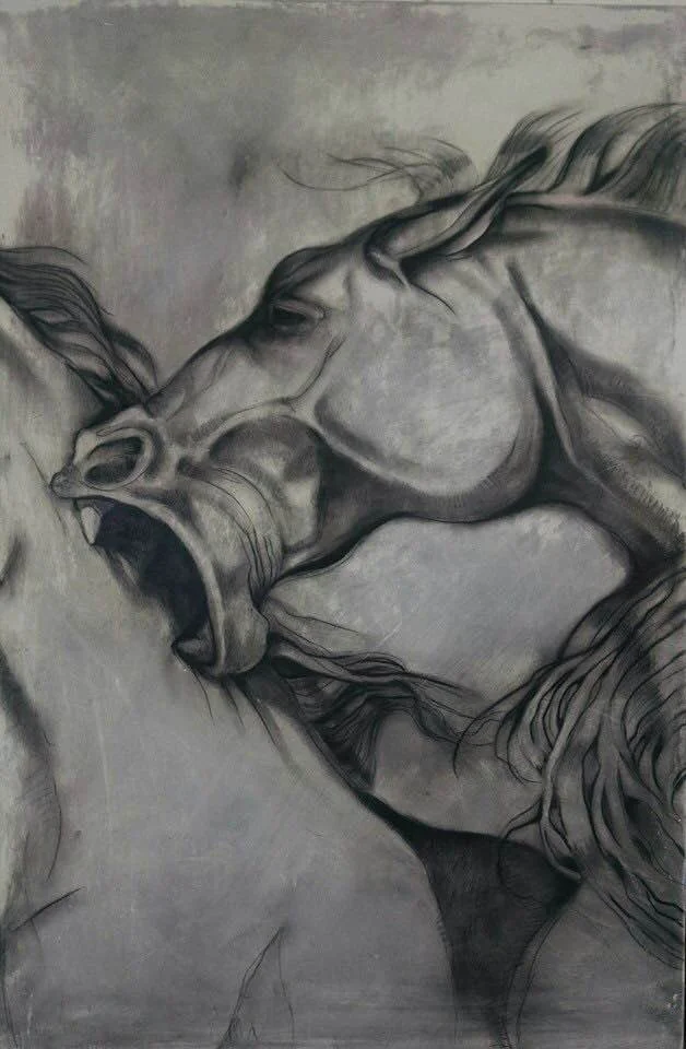 Horse Study 1 - $700 (1 of set of 3)