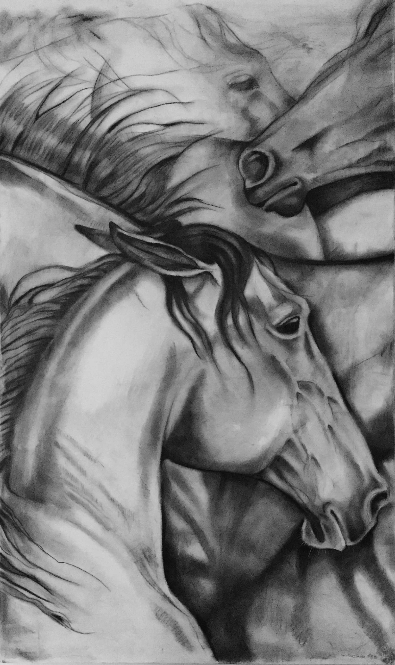 Horse Study 2 - $800 (2 of set of 3)