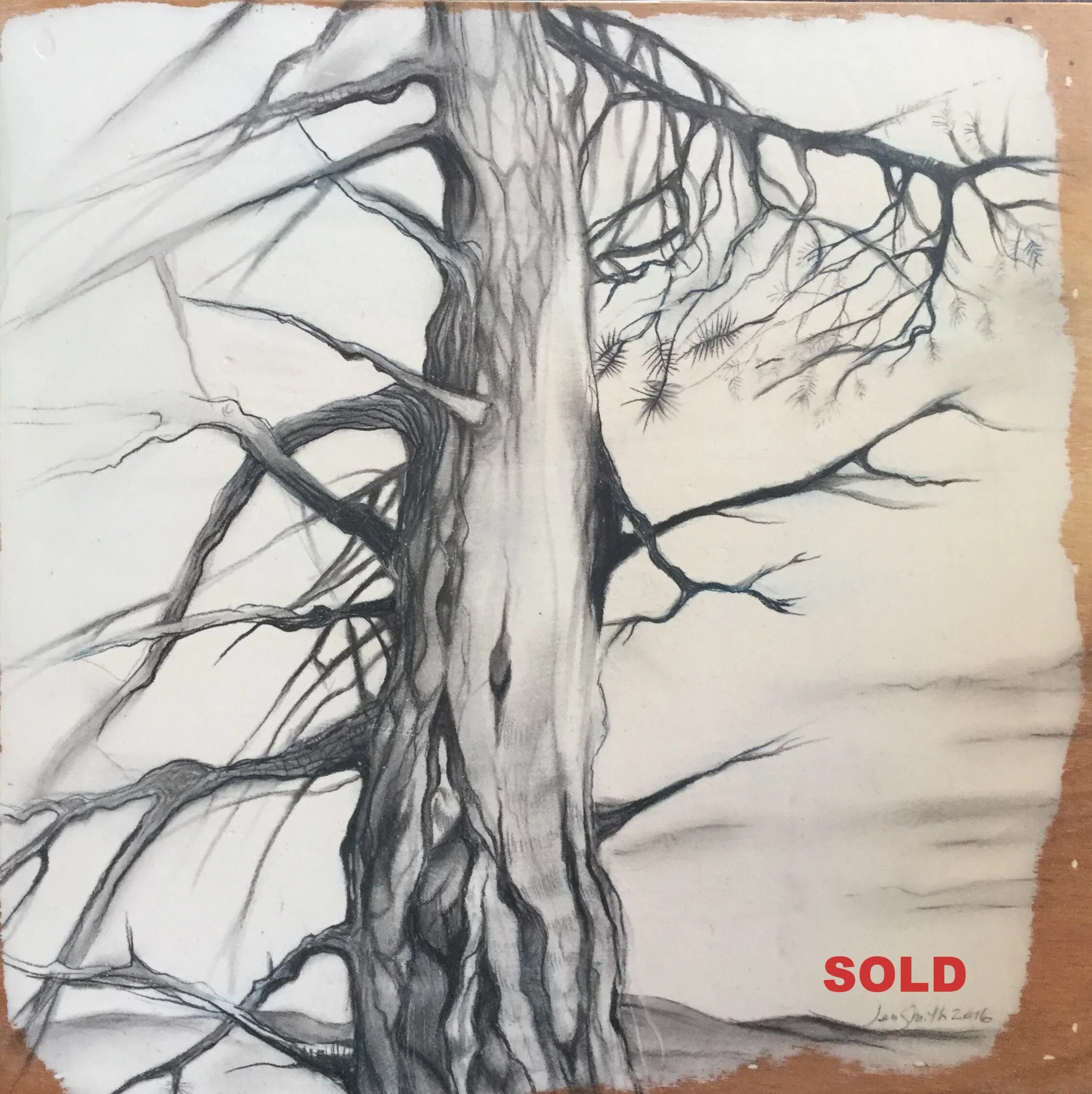 Coyote Wall - $225 (SOLD)