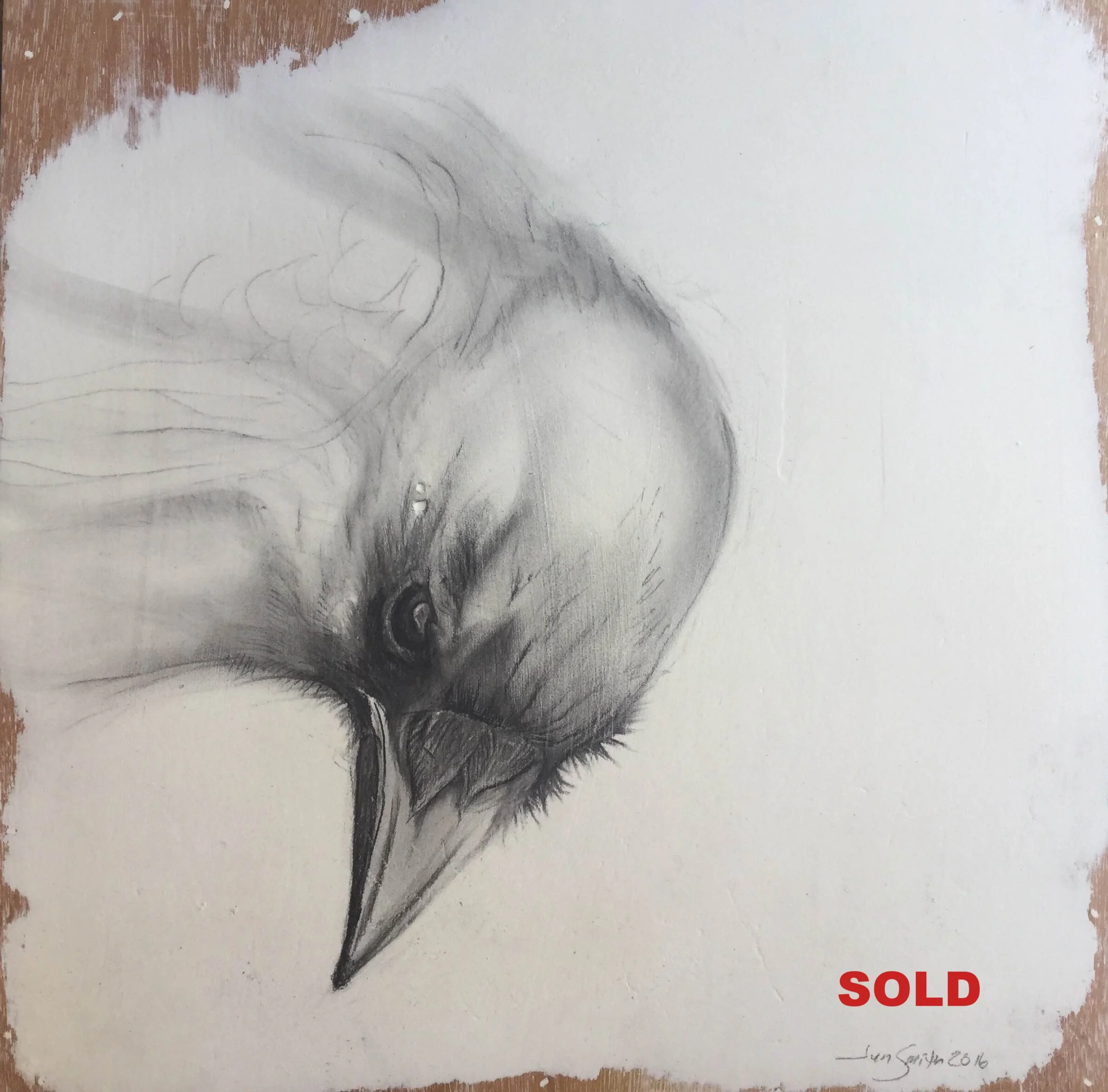 Crow 1 - $225