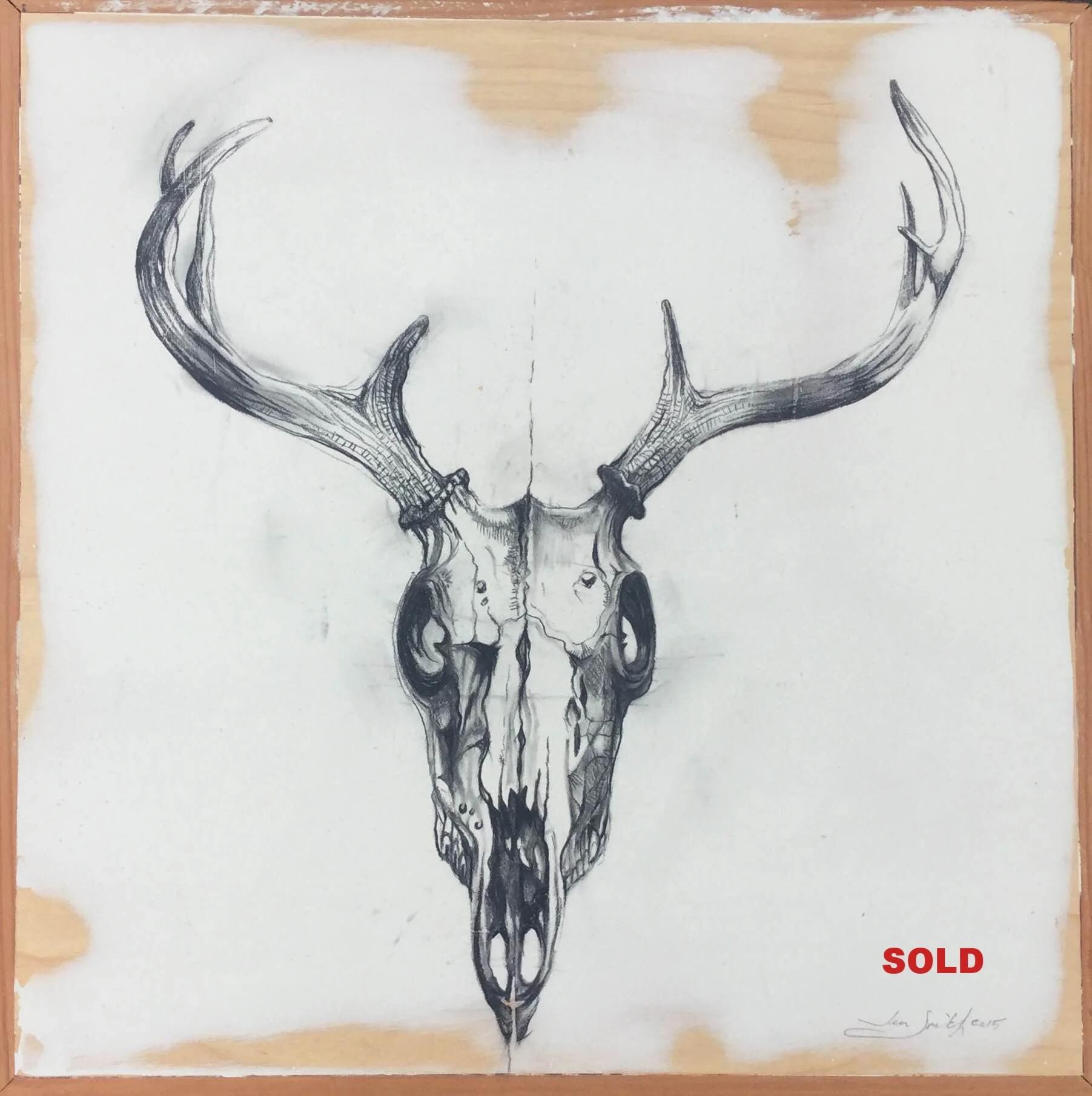 Deer Skull Study 2 - $225 (SOLD)