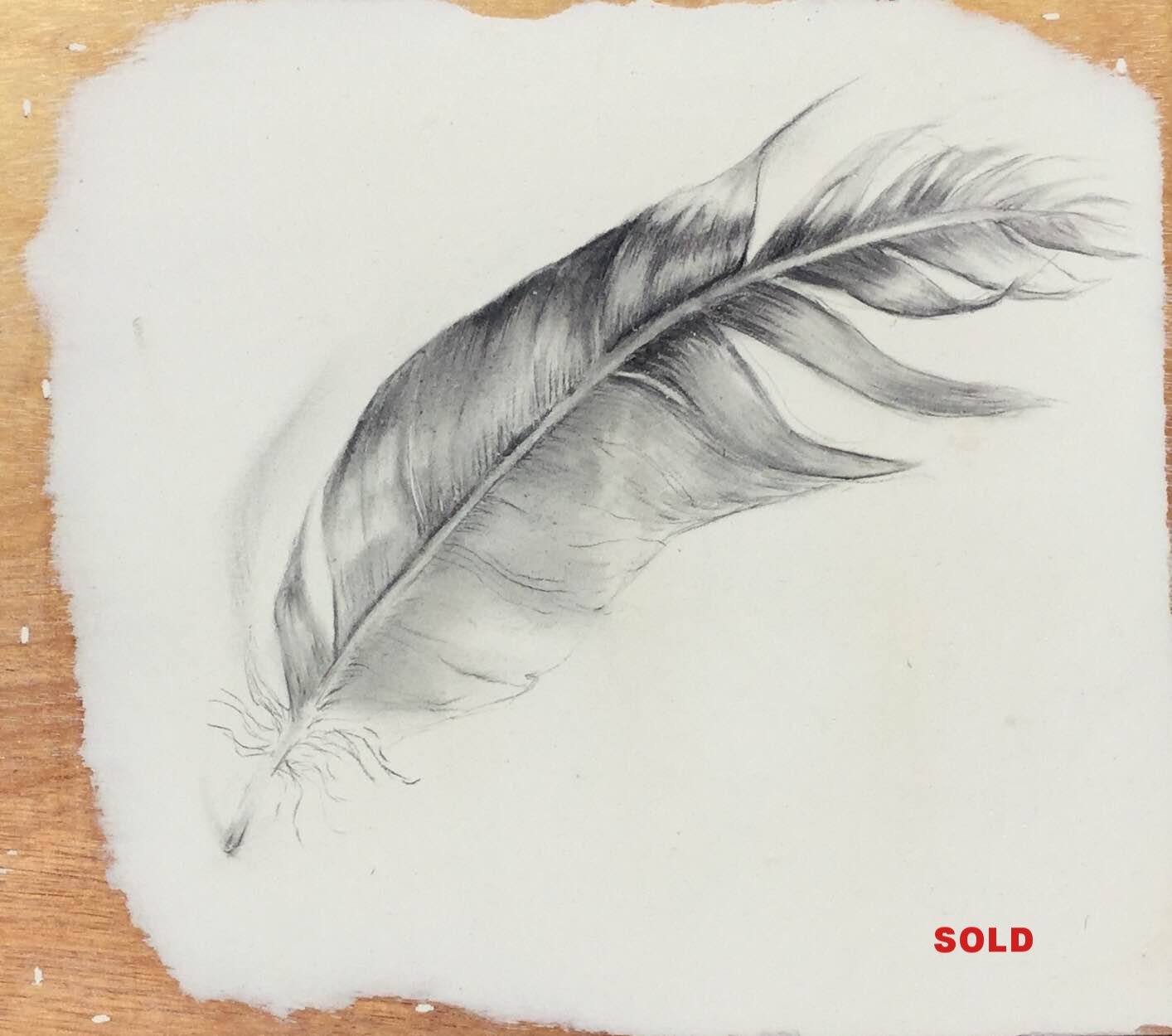 Little Feather Study - $120 (SOLD)