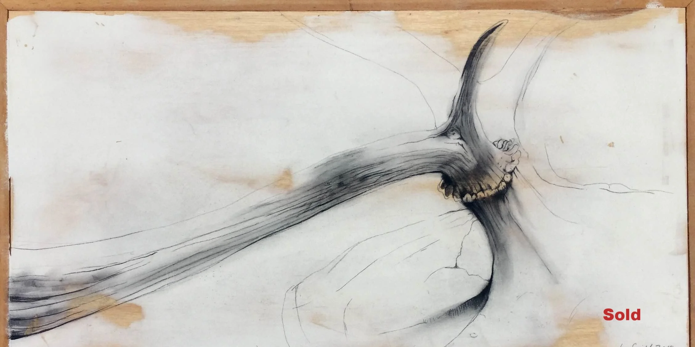 Antler Study 1 - $160