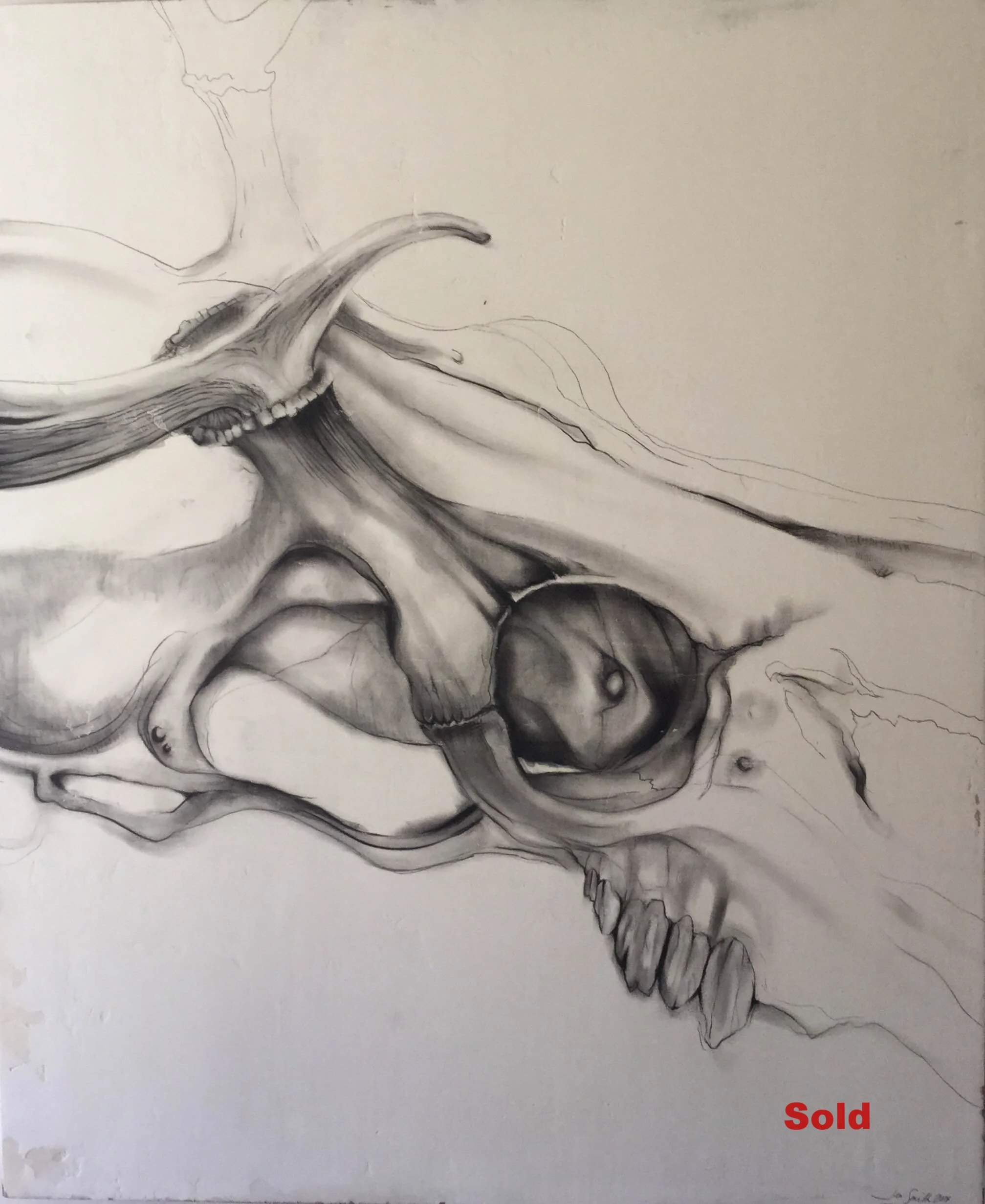 Deer Skull Study 1 - $600