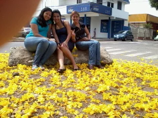 110305_002floresdelaraguaney.jpg