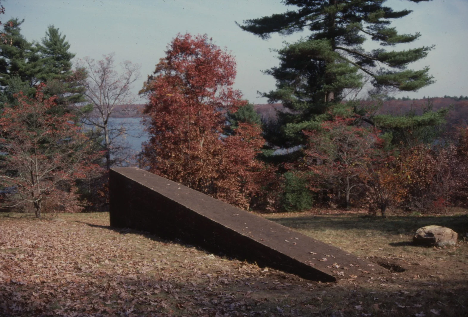 Pond Side 6.jpg