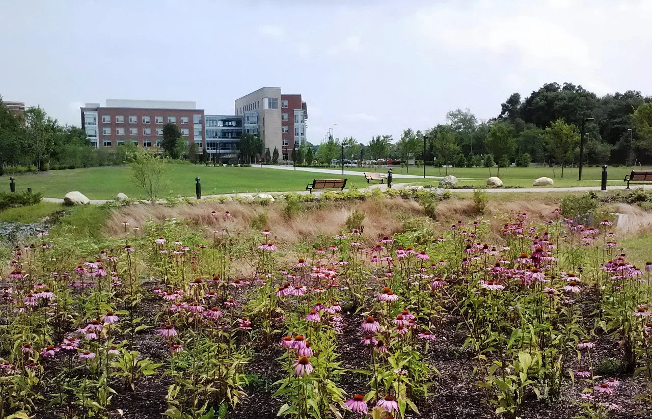University Park 1.1.jpg