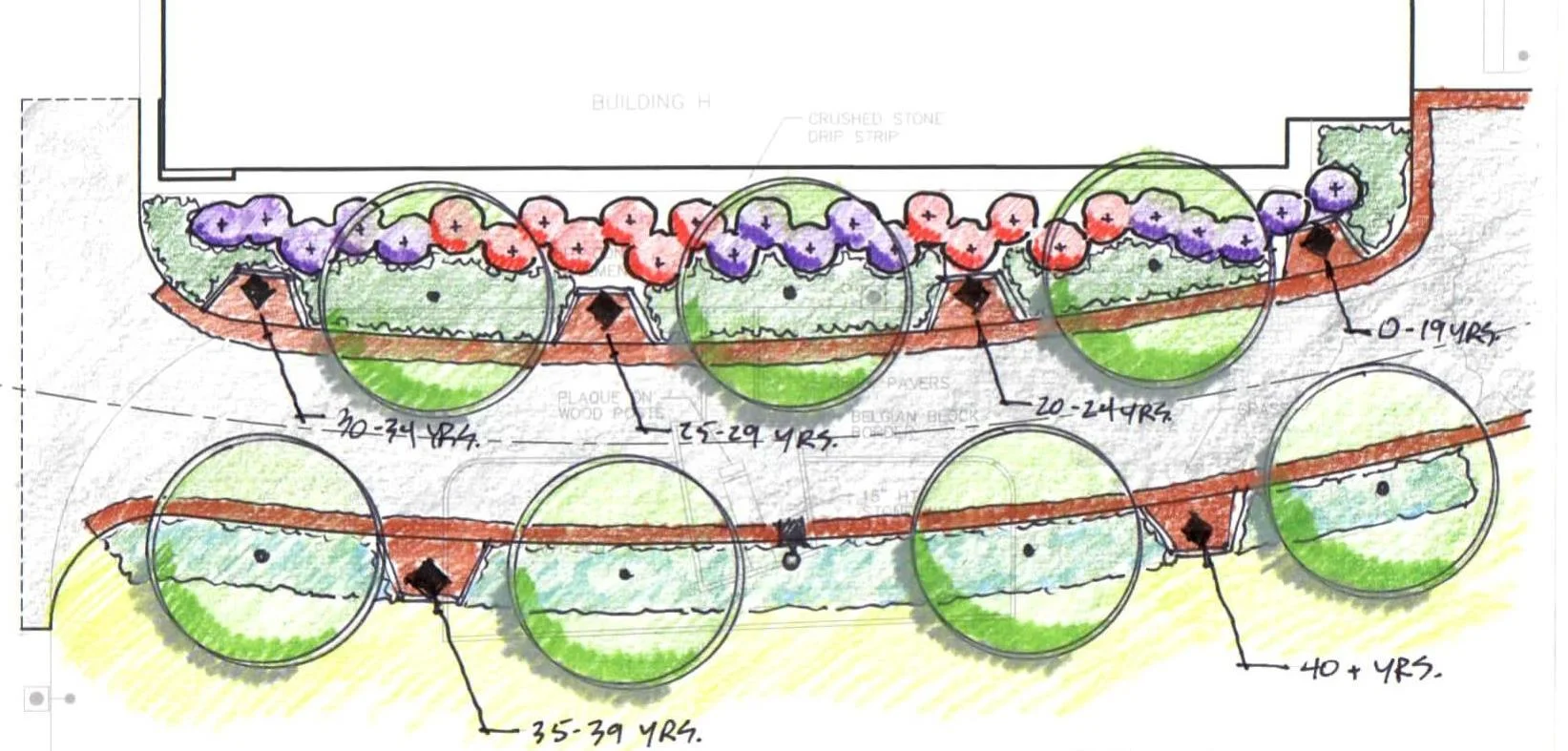 BCC Employee Recognition site plan.jpg