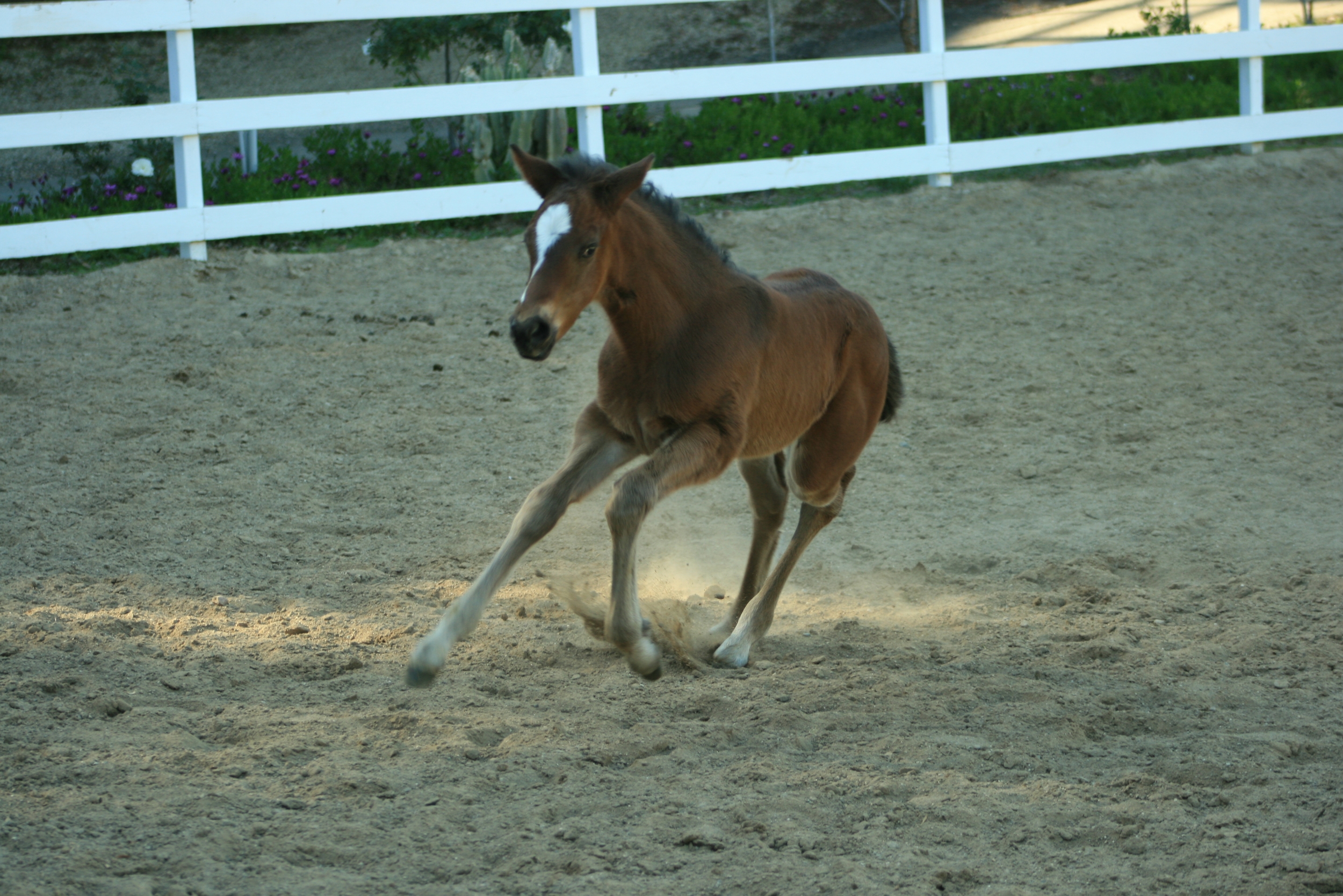 Basically Bob stretching his legs.