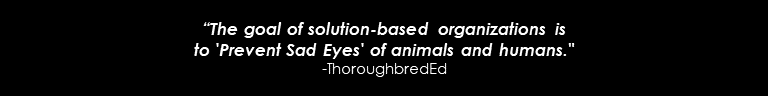 “The goal of solution-based organizations is to 'Prevent Sad Eyes' of animals and humans." -Swedish Proverb