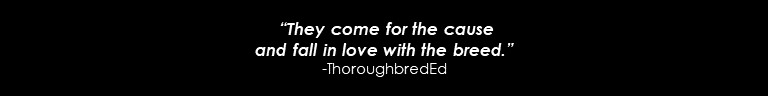  “They come for the cause and fall in love with the breed.” -ThoroughbredEd