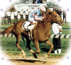 The poem below was written for Ferdinand (picture above), the 1987 Kentucky Derby winner, who was sent to slaughter in Japan.