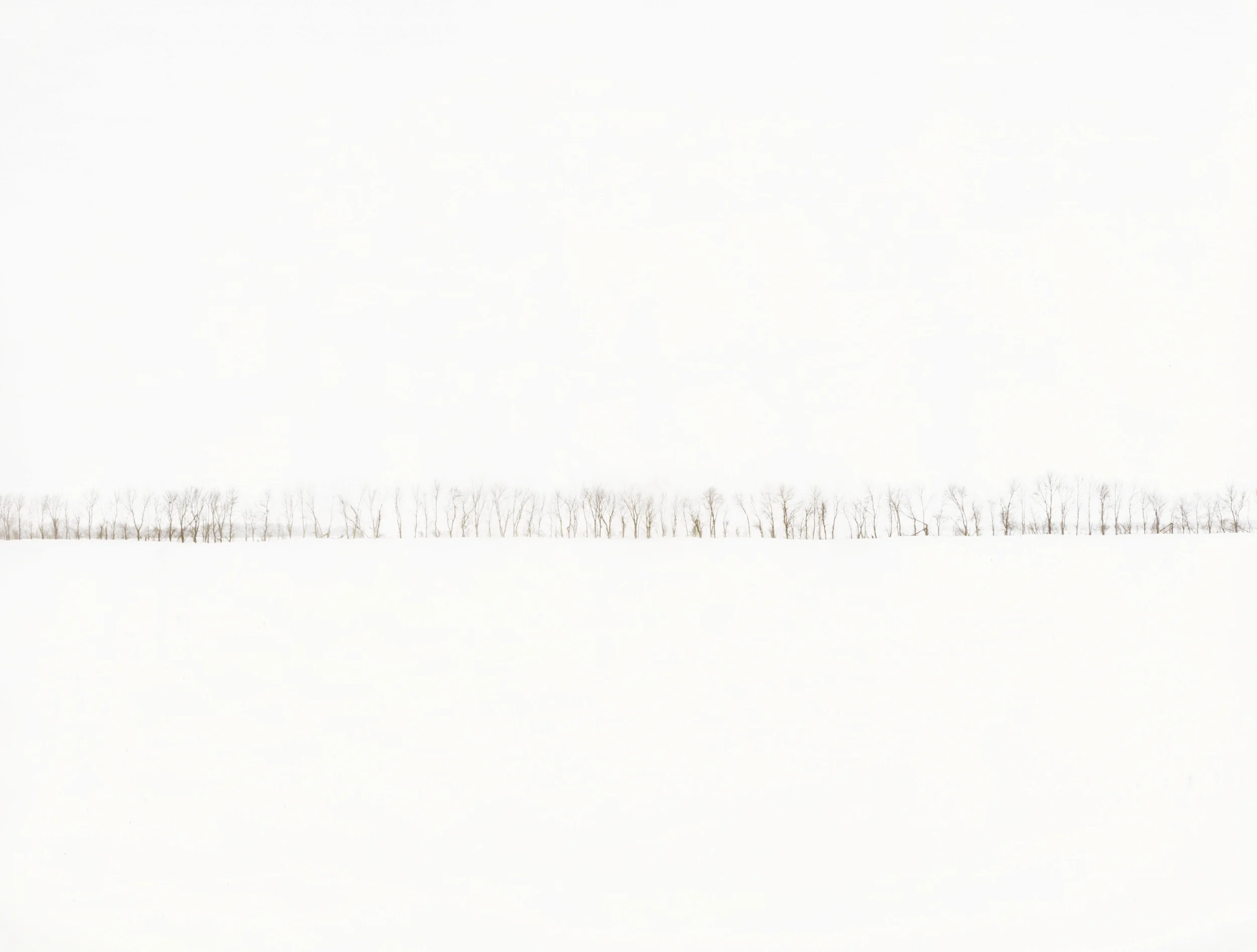   Snowscape - Fargo, ND  