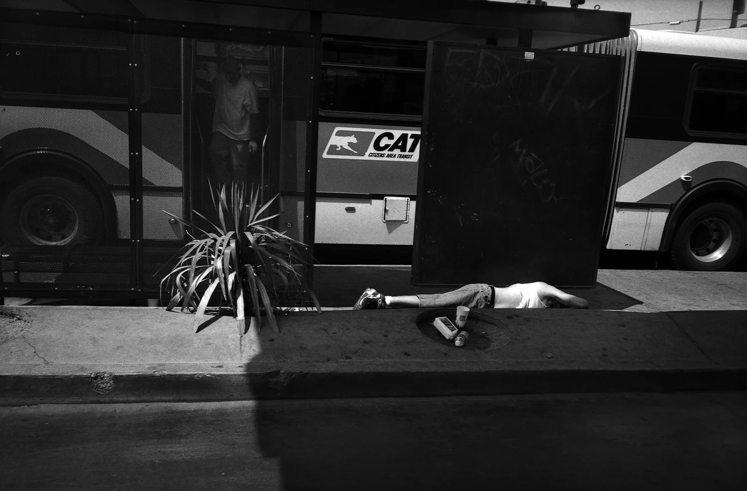   Bus stop - Las Vegas, NV  