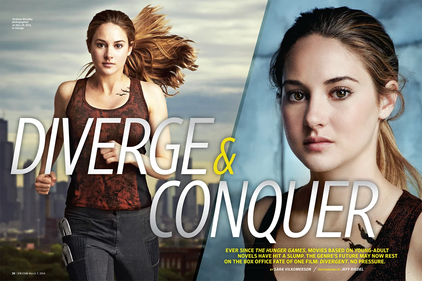 Divergent-1_sm.jpg