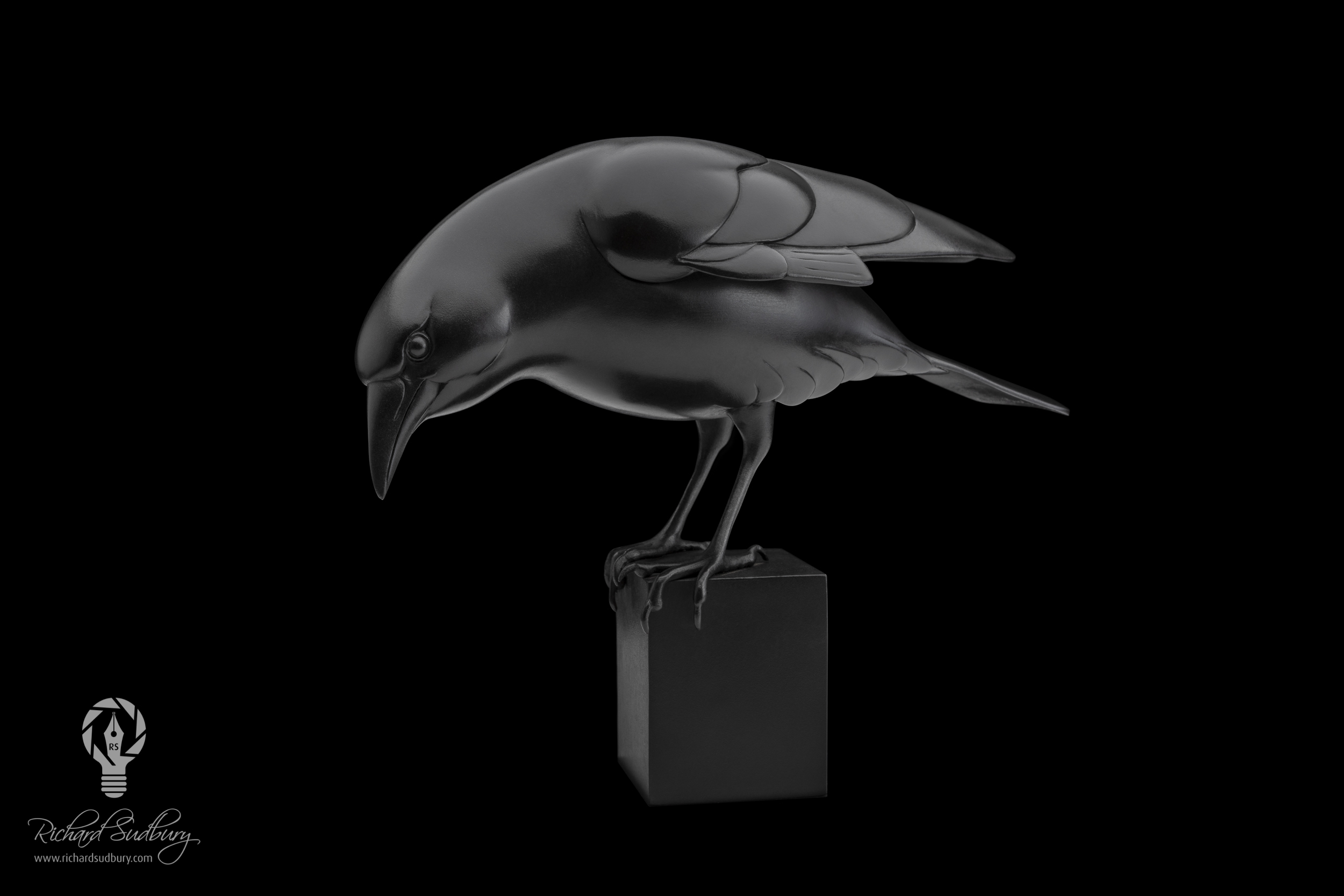 Adam Binder's Crow