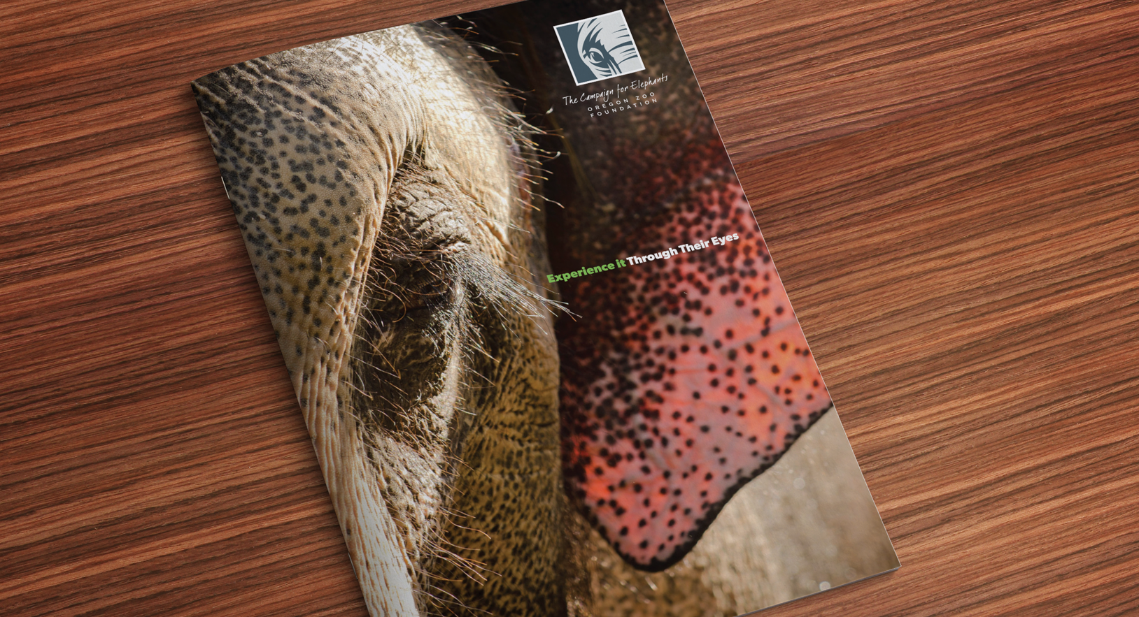  Oregon Zoo Campaign for Elephants 