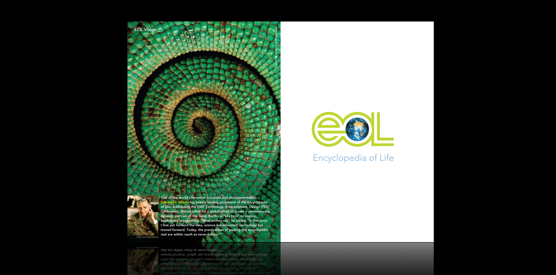  Encyclopedia of Life/Smithsonian Institution 