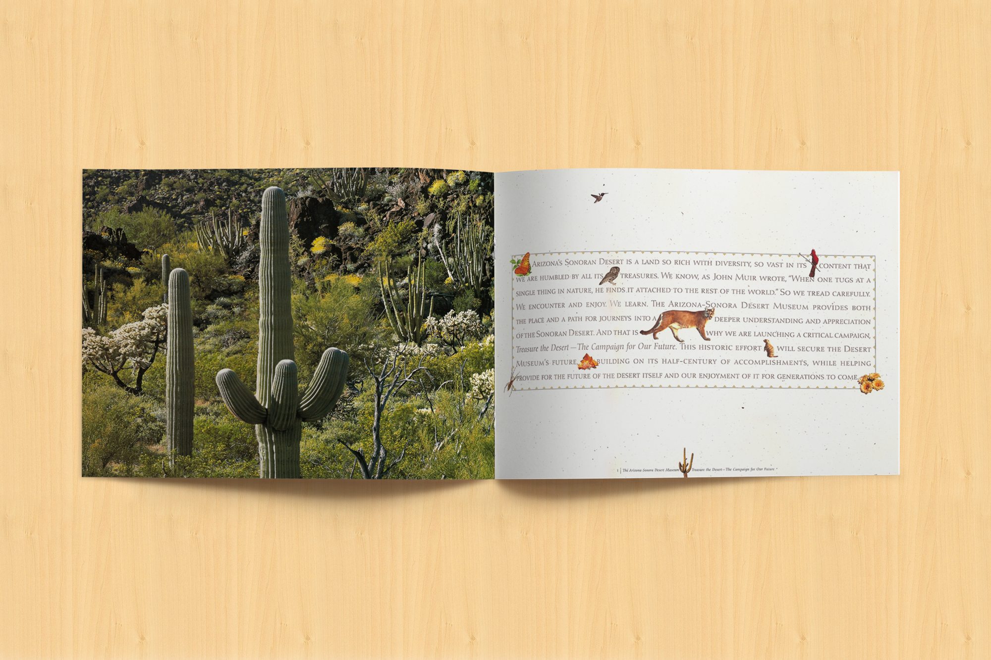 ARIZONA-SONORA DESERT MUSEUM, Treasure the Desert