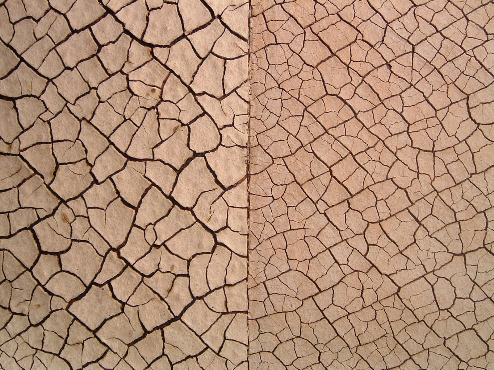 2005 Field 71cm X 46 X 5 (det) copy.jpg