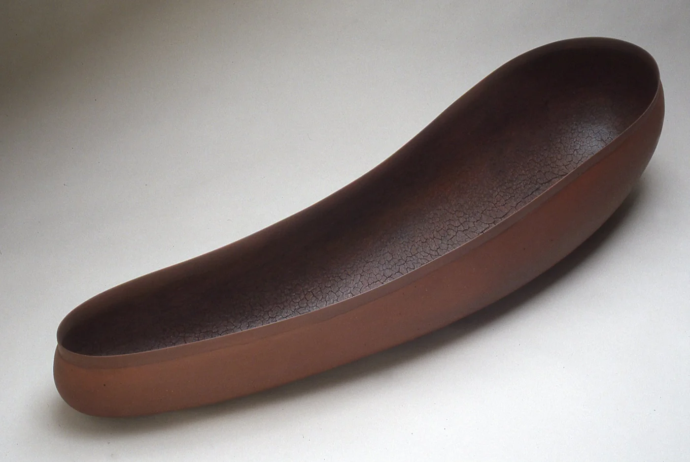 Diatom, 2004