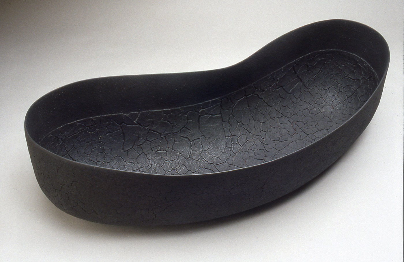 Diatom, 2008