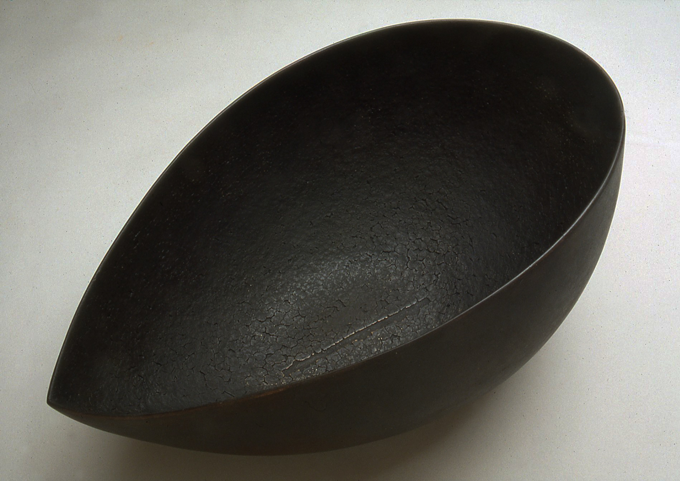 Terra Negra, 1999