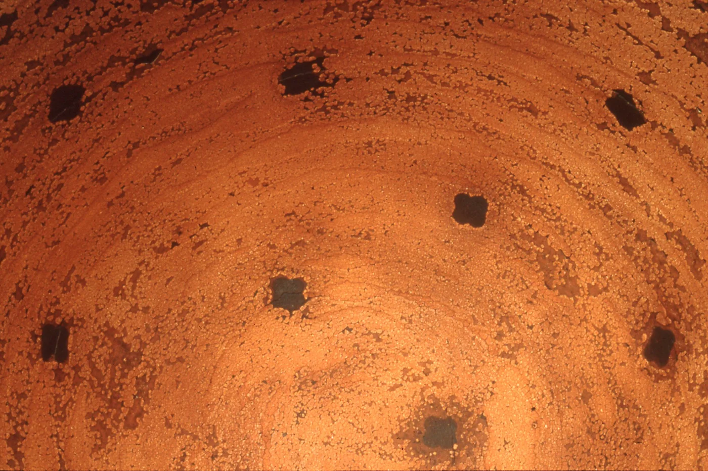 Moab, 1999 (detail)