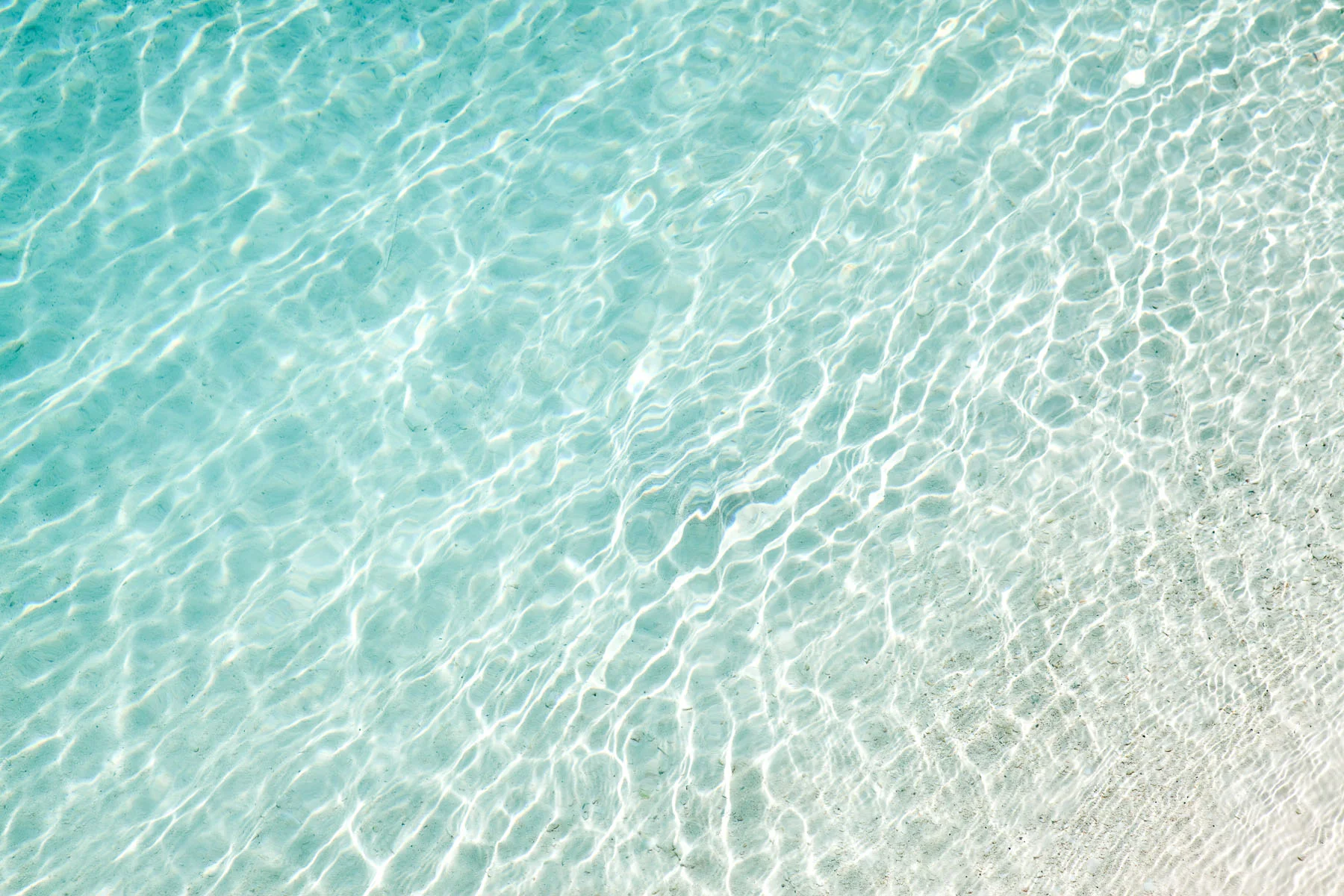 10_0622_BoraBora_5D_0333_Edit_Squarespace.jpg