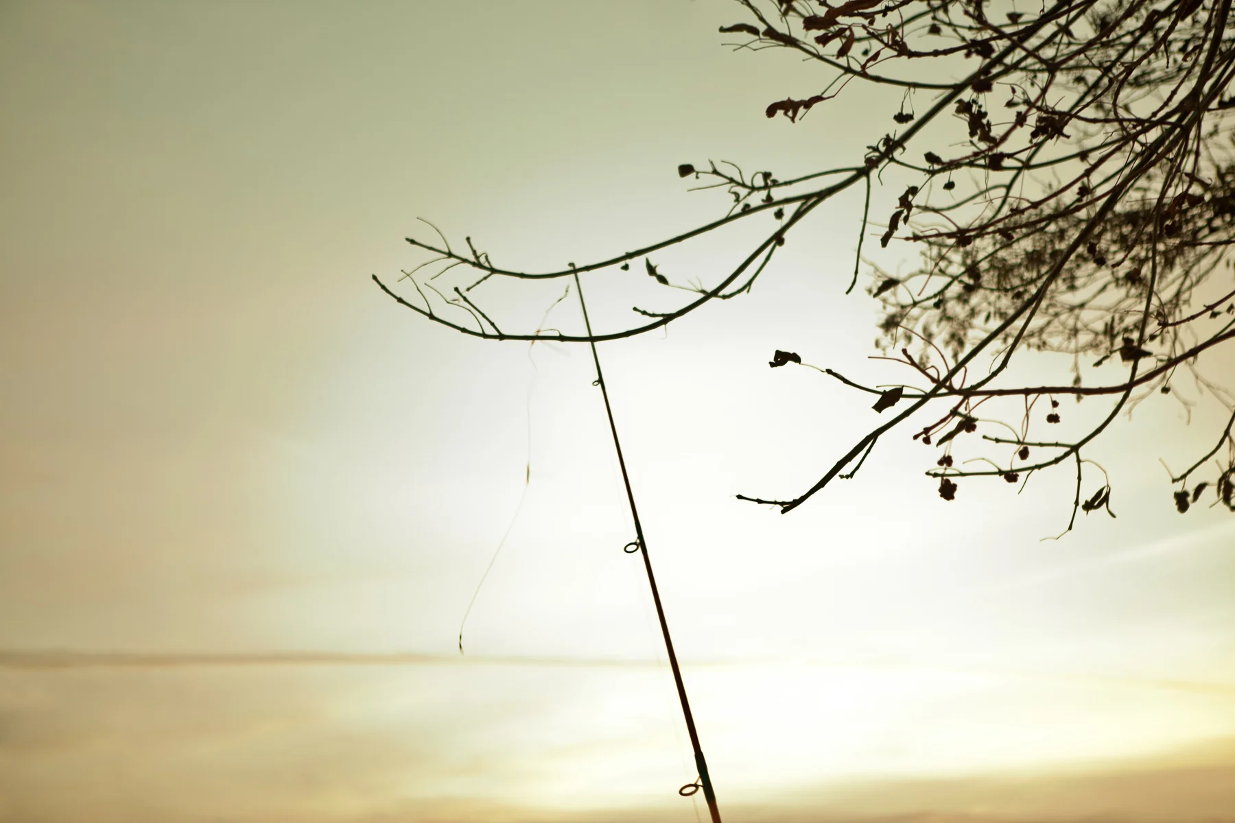 10_1223_TheDelta_GregBustos_033_Edit_Squarespace.jpg