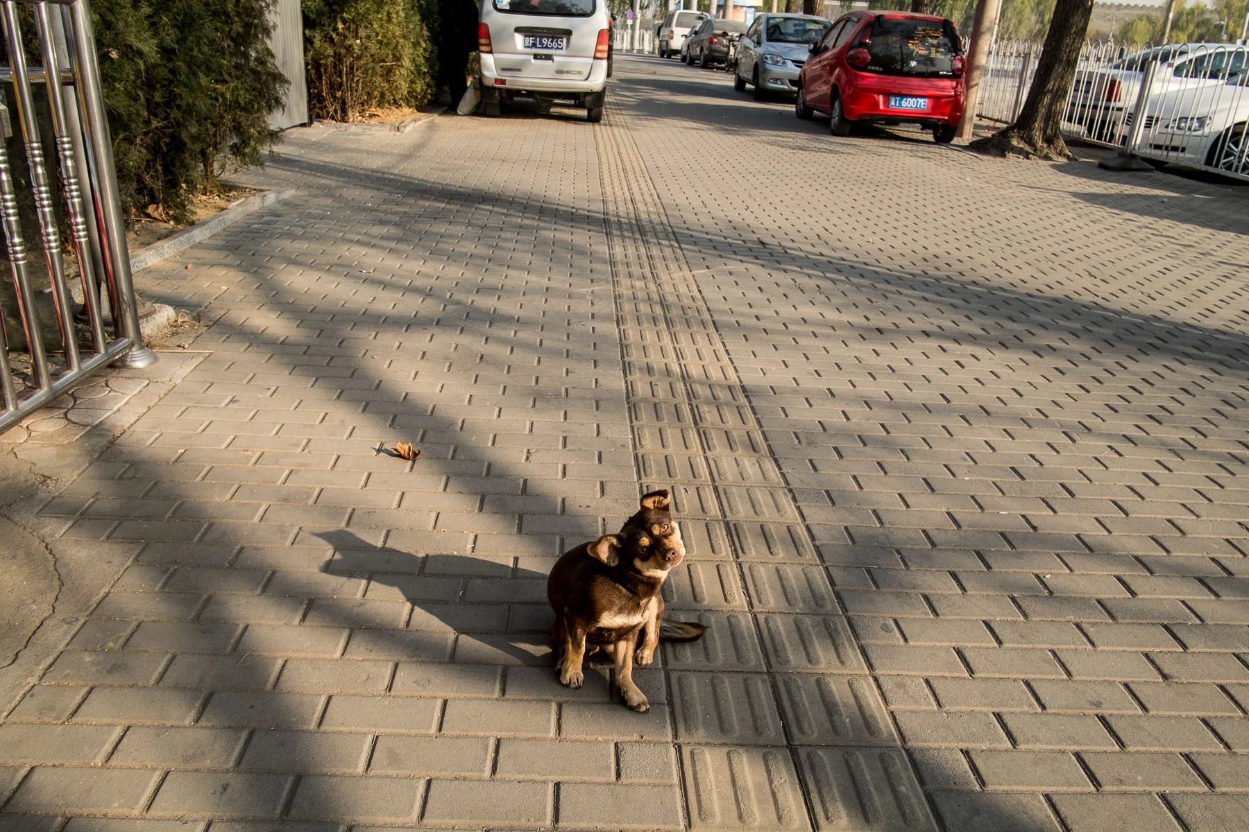 13_1122_Beijing_393_Edit_Squarespace.jpg