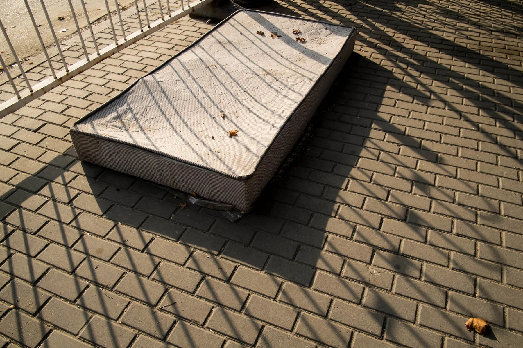 13_1122_Beijing_398_Edit_Squarespace.jpg