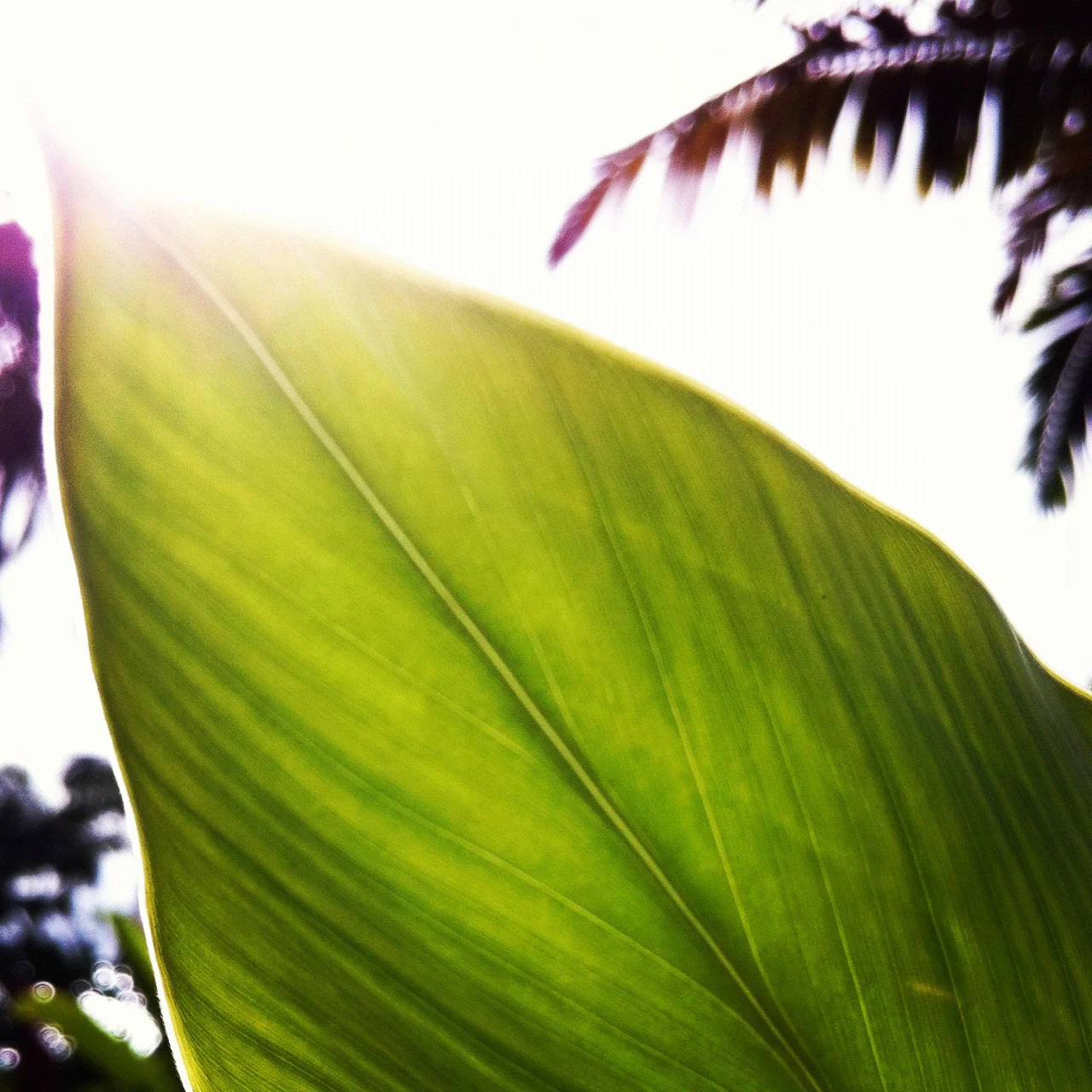 IMG_3124_Squarespace.jpg