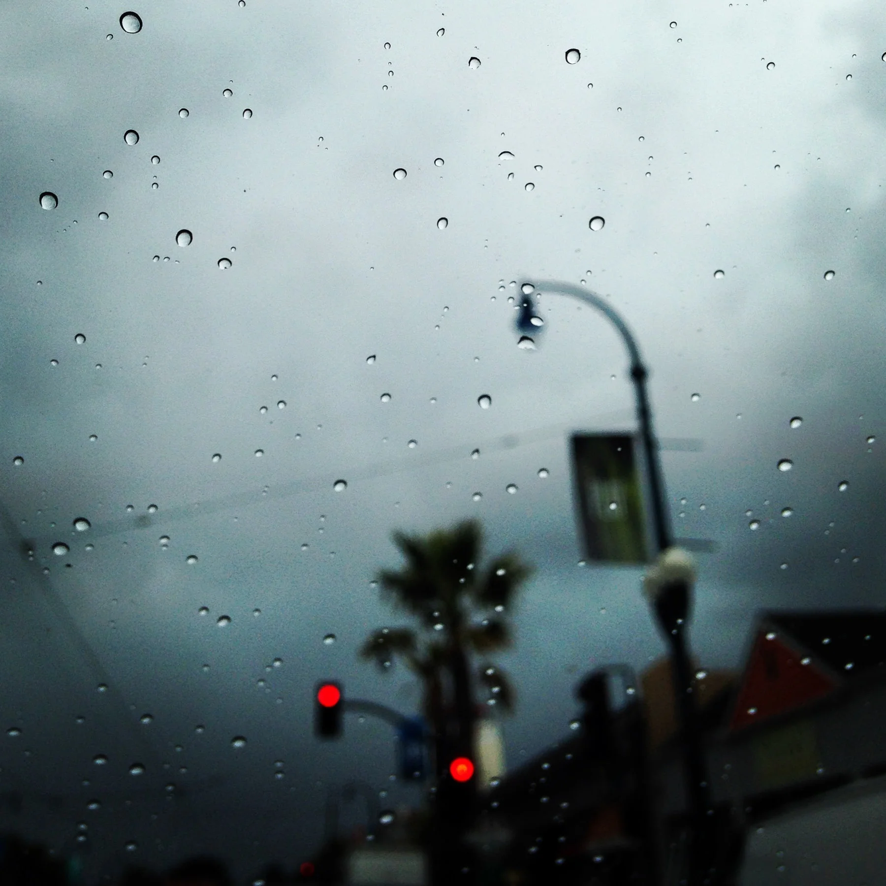 IMG_4045_Squarespace.jpg