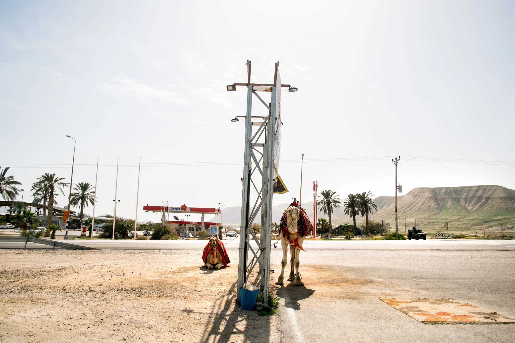 15_0210_Israel_248_Edit_Squarespace.jpg