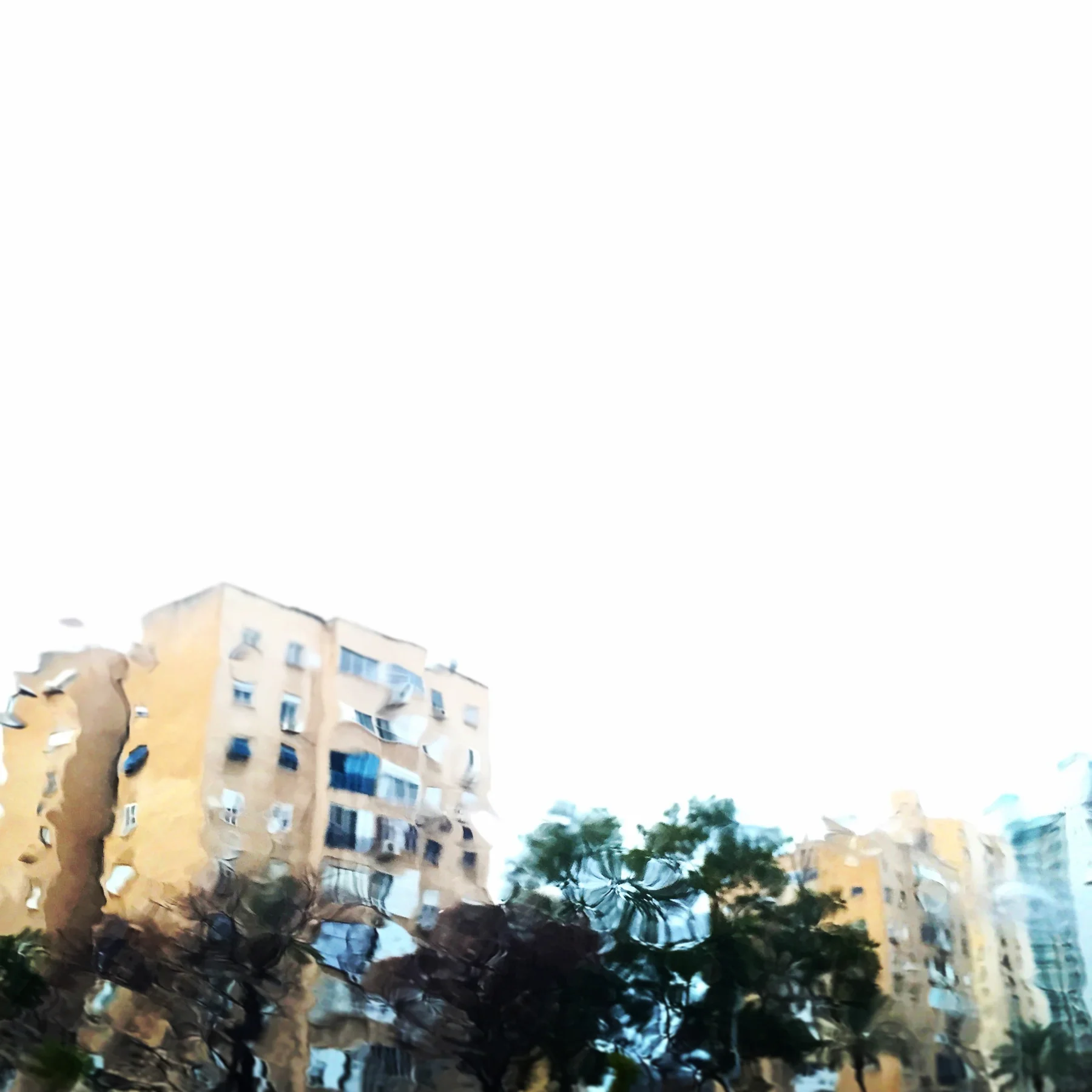 IMG_2705_Squarespace.jpg