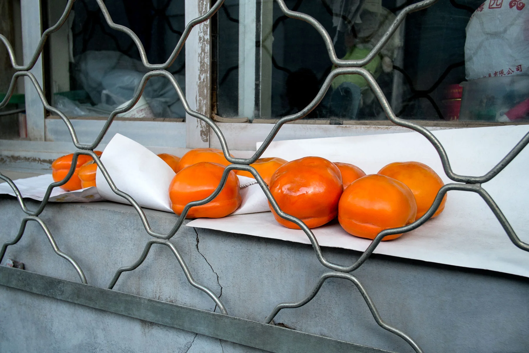 13_1117_Beijing_111_Edit_Squarespace.jpg