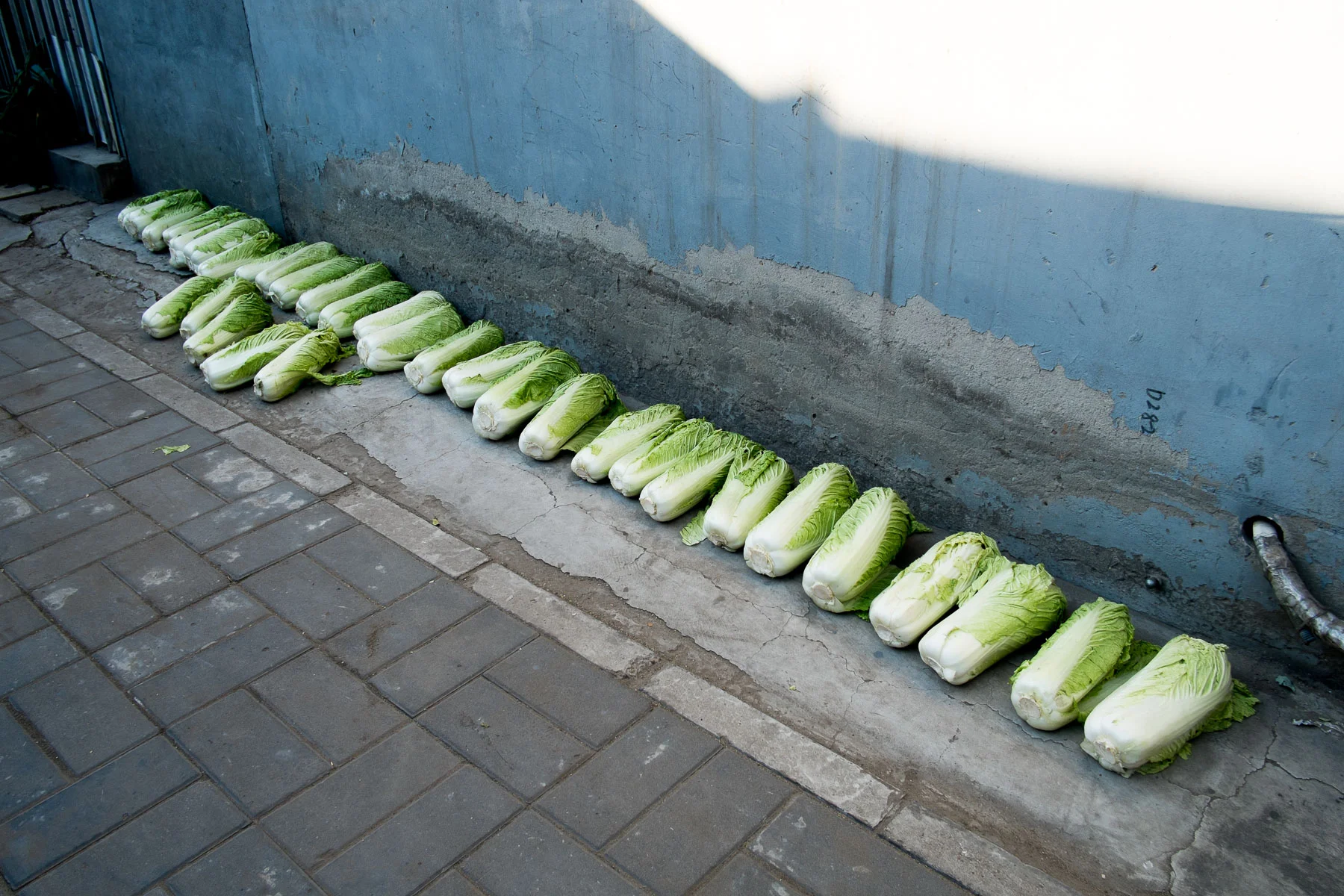 13_1119_Beijing_192_Edit_Squarespace.jpg