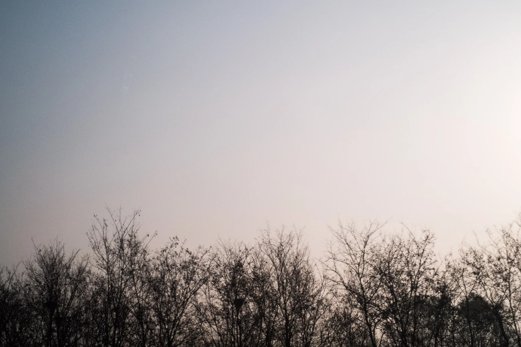 13_1123_Beijing_529_Edit_Squarespace.jpg