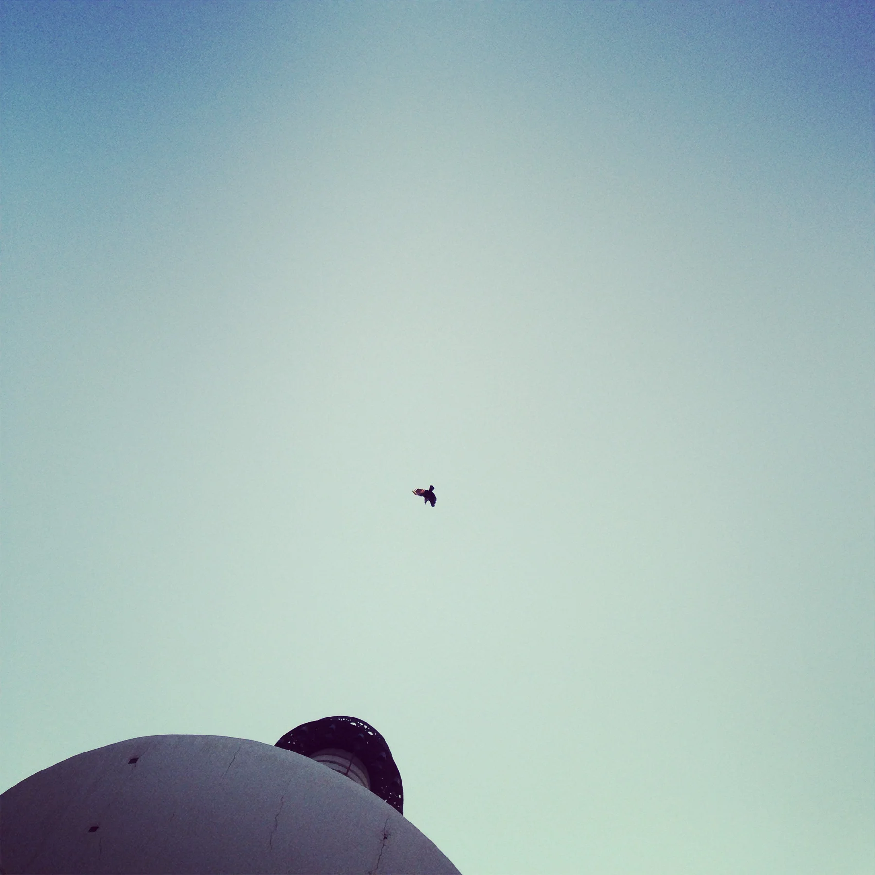IMG_9215_Squarespace.jpg