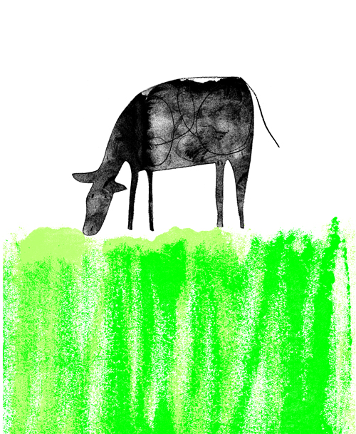 cow.jpg