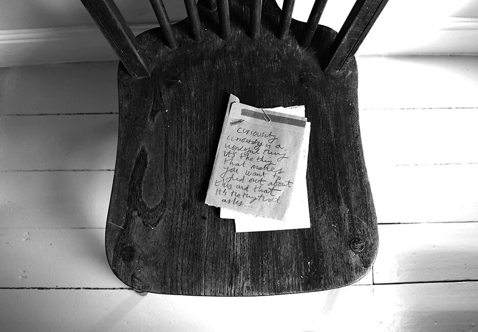 A TINY SEED OF AN IDEA THAT GREW INTO A BIG BOOK