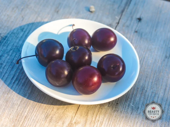 Tart like a Plum, sweet like a cherry.