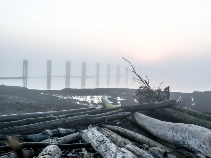 Remains of a dock disappearing into infinity.