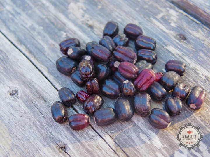 The fruit is maroon or dark purple in colour.