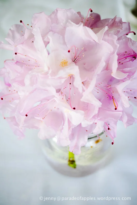 2014-mothers-day-afternoon-tea-5180013.jpg