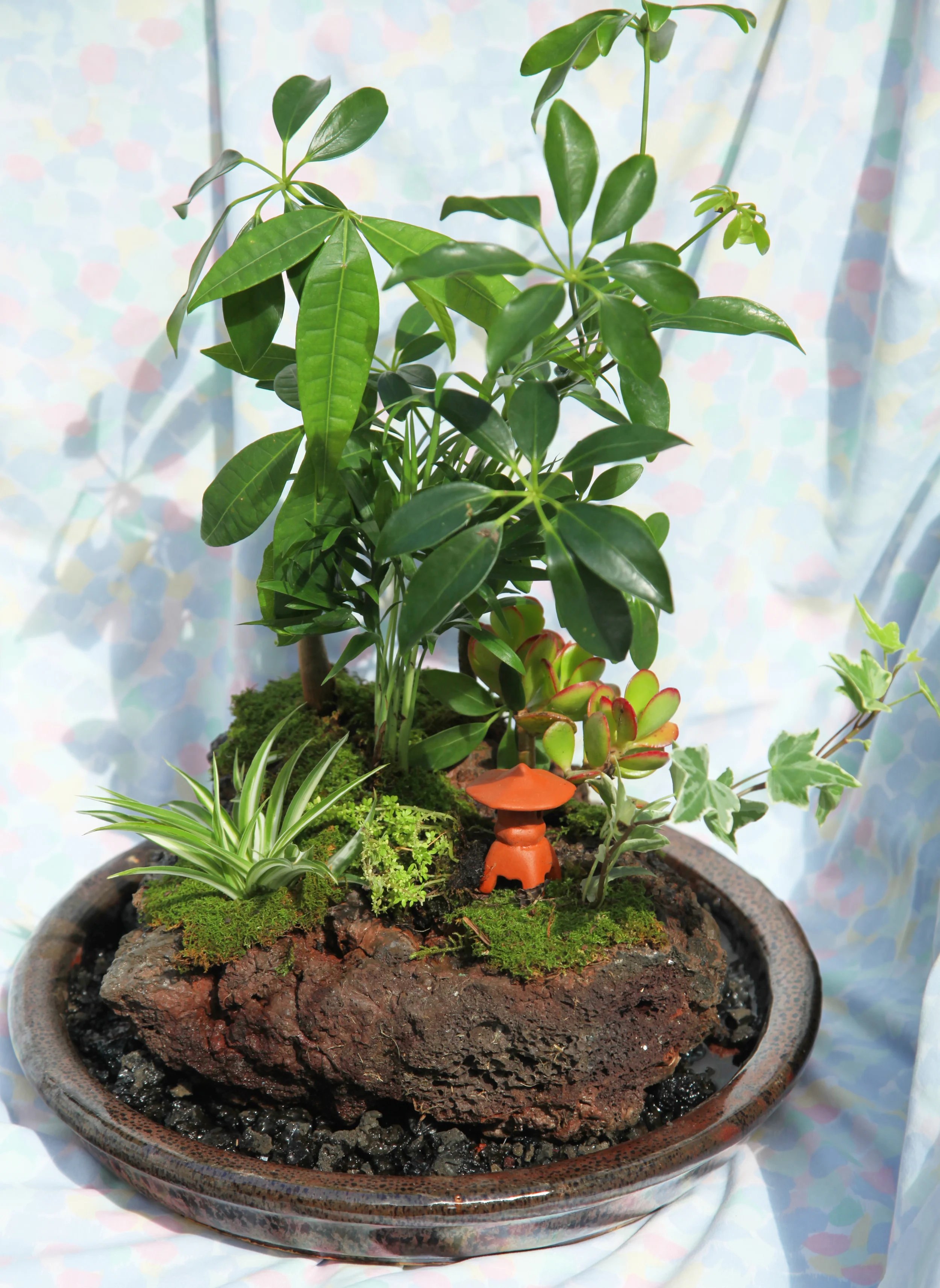 Large Rock Garden - suggested retail price of $45.