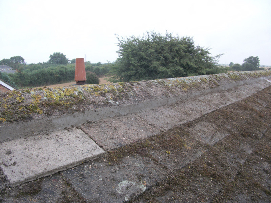 Ridge repairs by West Design and Build of Hedon, East Riding 10.jpg