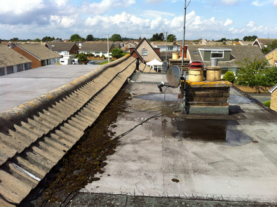Old roof before New Flat Roof by West Design and Build of Hedon-East Riding 01.jpg