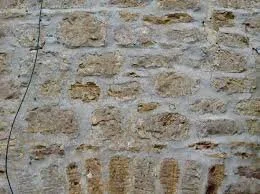 Conservation Work